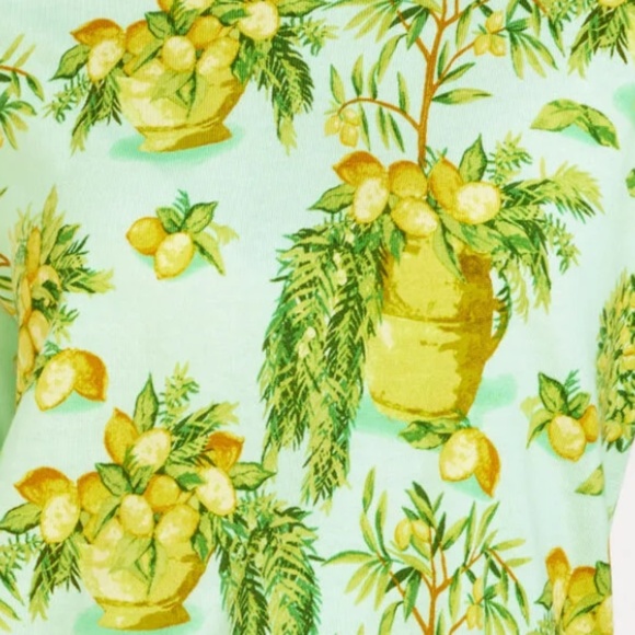 NWT Talbots ELBOW SLEEVE PULLOVER - LEMON TREES Size US 1X - Picture 5 of 5